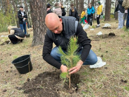 Областные парламентарии вместе с активистами посадили новые деревья