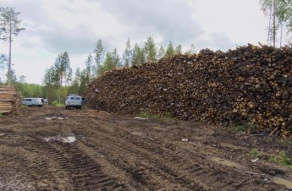 Ольга Носенко взяла в работу проблему с захламлением отходами лесопиления сельхозземель под Киренском