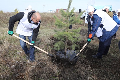Сергей Сокол поблагодарил организаторов проекта по высадке деревьев в Иркутской области