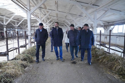 Александр Ведерников: необходимо снизить административную нагрузку на фермеров