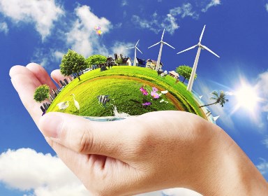 Всемирный день окружающей среды,  День эколога в России 