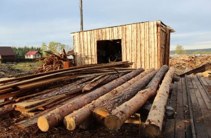 Дать погорельцам и многодетным право на получение древесины вне очереди предлагает Кузьма Алдаров  