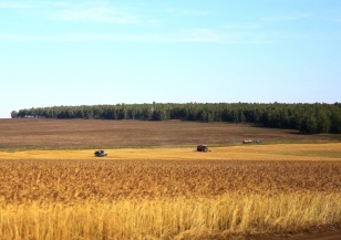 Депутаты рекомендовали минсельхозу Приангарья в кратчайшие сроки представить план действий о поддержке пострадавшим от засухи районам