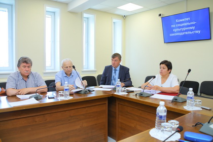 Комитет под председательством Ирины Синцовой рассмотрел законопроекты в сфере образования, молодежной политики и защиты объектов культурного наследия