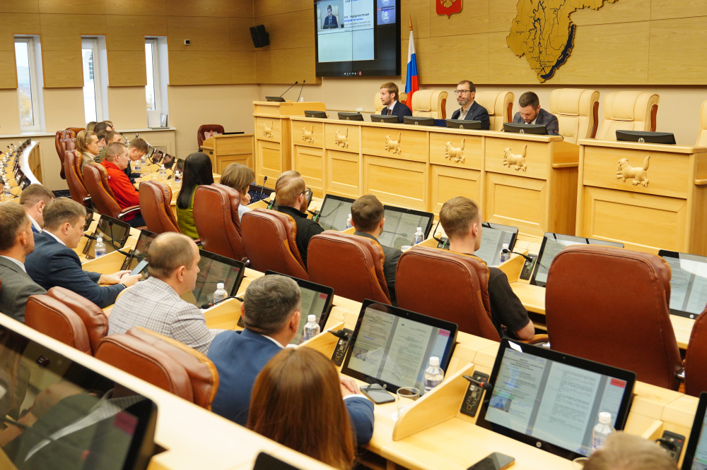Молодежный парламент разработал проект закона о запрете продажи вейпов в Иркутской области