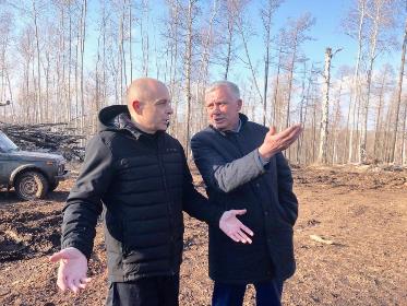 Заксобрание намерено обратиться в правоохранительные органы по фактам вырубки леса в Эхирит-Булагатском районе