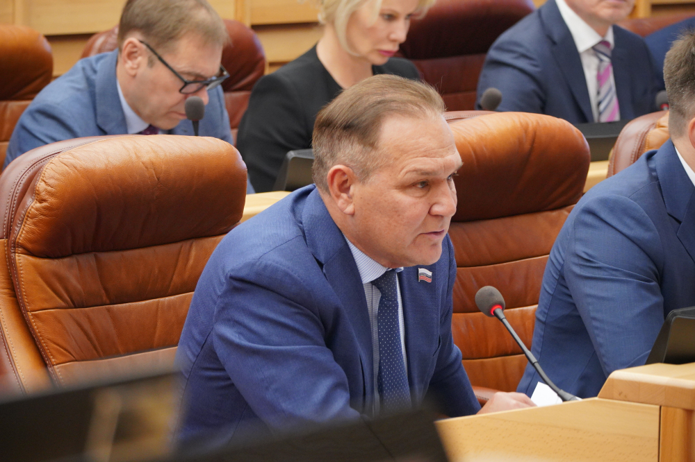 Ряд социальных законопроектов принят на сессии ЗакСобрания